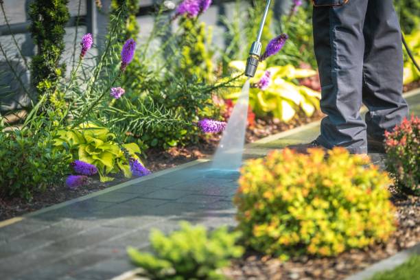 Best Sidewalk and Walkway Cleaning  in Cranston, RI